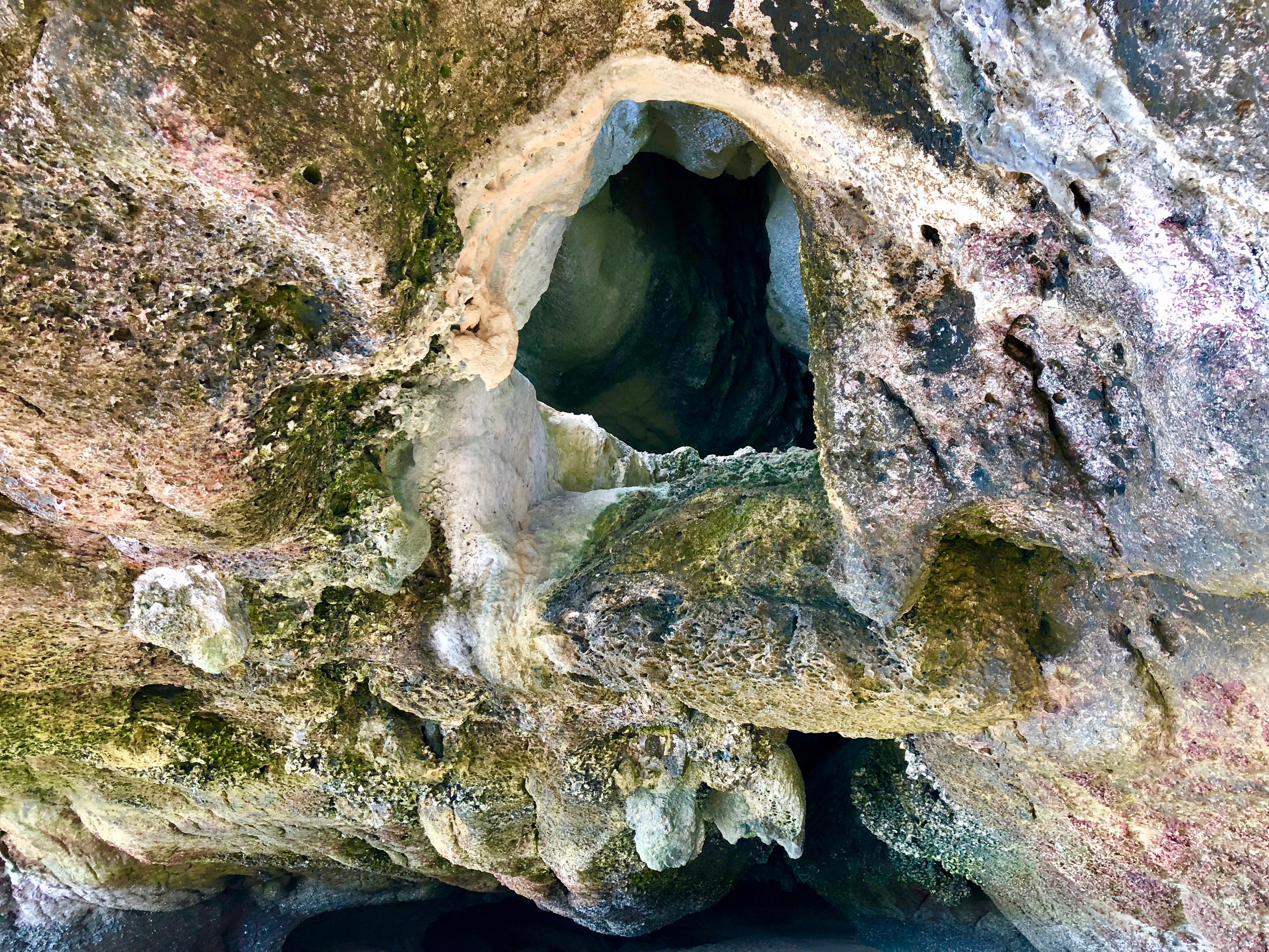 Day Trip to Khao Sok Cave Exploration