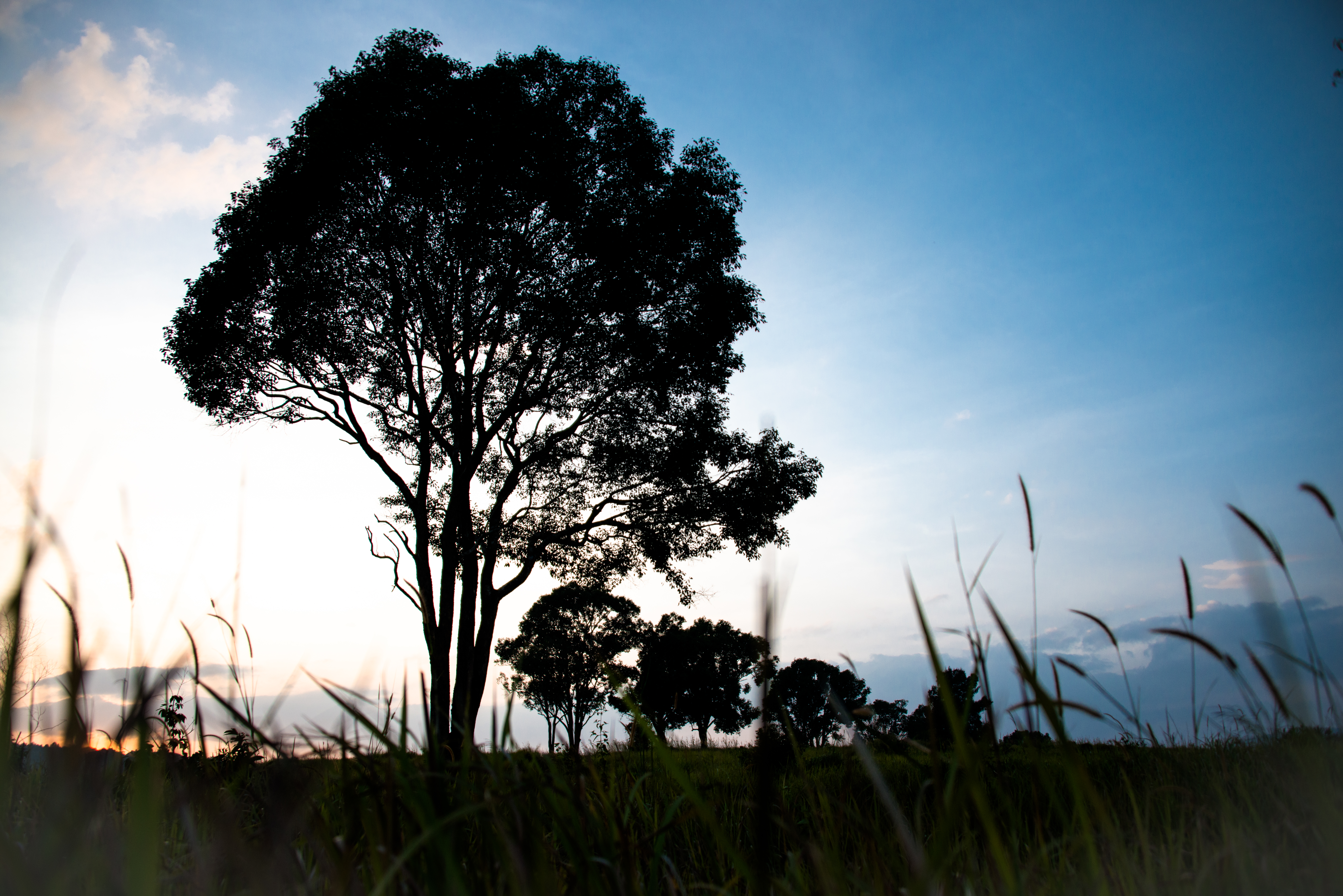 Sunset in Khao Yai National Park